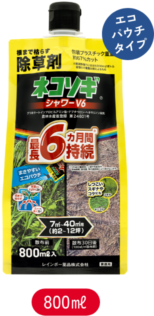 ネコソギシャワーv6 800ml エコパウチタイプ