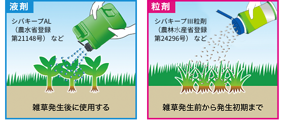 液剤 シバキープAL（農水省登録第21148号） など 雑草発生後に使用する 粒剤 シバキープⅢ粒剤（農林水産省登録第24296号） など 雑草発生前から発生初期まで