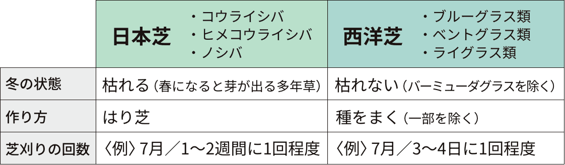 日本芝と西洋芝の違いの表