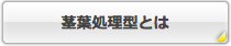 茎葉処理型とは