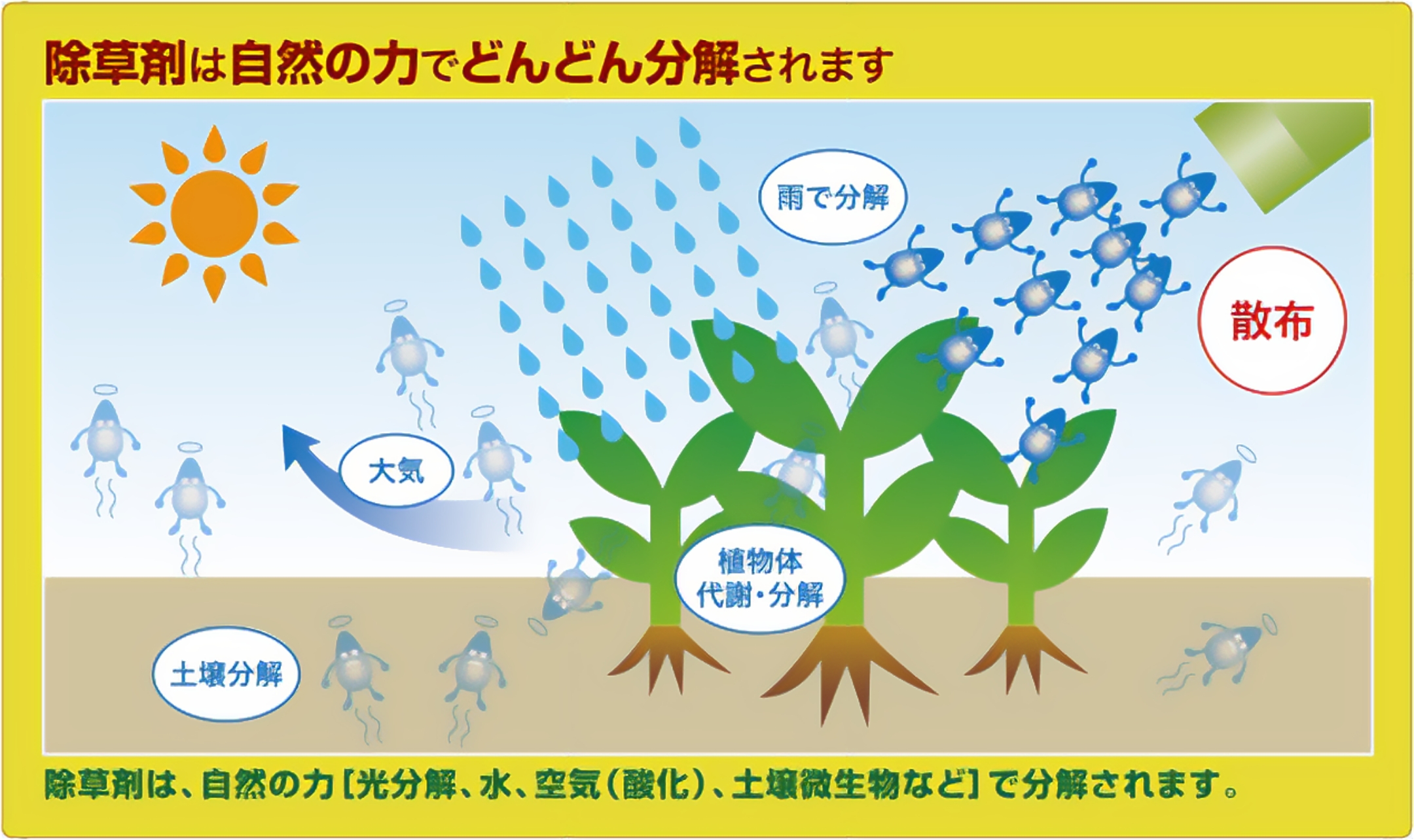 除草剤は自然の力でどんどん分解されます 散布 植物体代謝・分解 雨で分解 土壌分解 大気 除草剤は、自然の力 【光分解、水、 空気 (酸化)、 土壌微生物など] で分解されます。