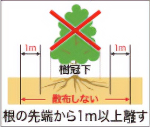 根の先端から1m以上離す