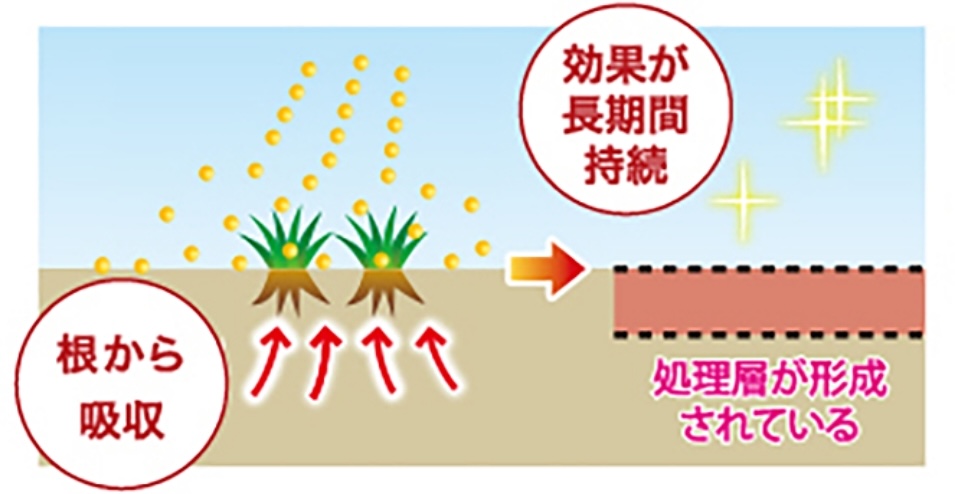 効果が長期間持続 根から吸収 処理層が形成されている