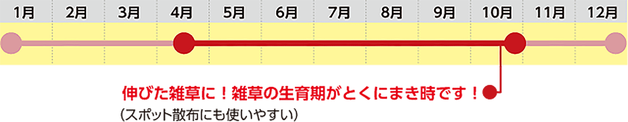 通念使用可能 特に4月中旬から10月 伸びた雑草に! 雑草の生育期がとくにまき時です!(スポット散布にも使いやすい)