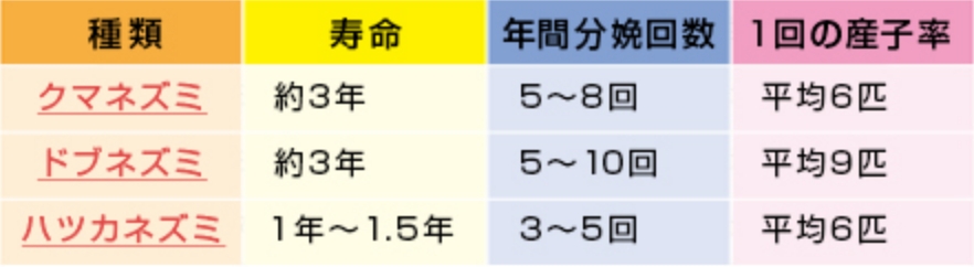 種類 クマネズミ 寿命 約3年 年間分娩回数 5~8回 1回の産子率 平均6匹 種類 ドブネズミ 寿命 約3年 年間分娩回数 5~10回 1回の産子率 平均9匹 種類 ハツカネズミ 寿命 1年~1.5年 年間分娩回数 3~5回 1回の産子率 平均6匹